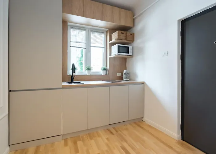 Echo Piata Victoriei Sanador Apartment